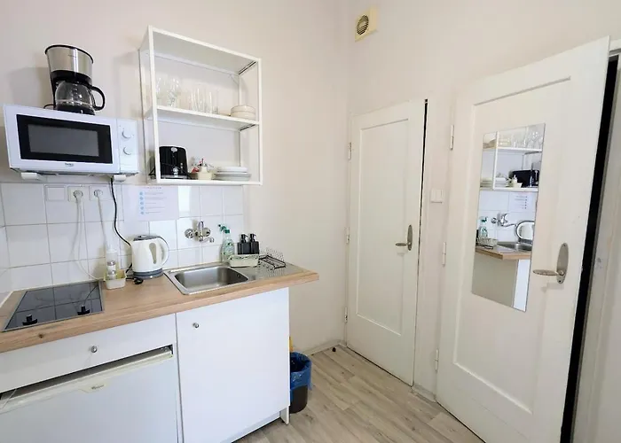 Flat In Zizkov -204- Appartamento Praga