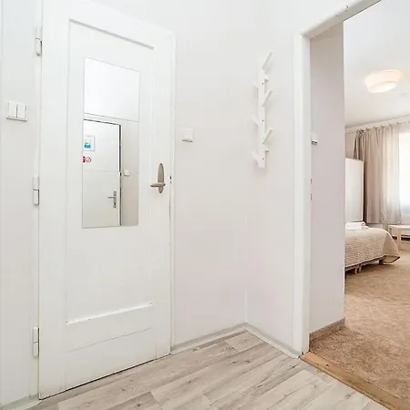 Flat In Zizkov -204-
