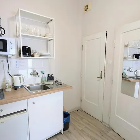 Flat In Zizkov -204- Apartament Praga